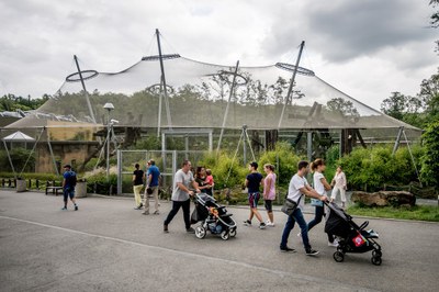 Ostrava prověřuje, zda by mohl návštěvníky do zoo vozit vlak. Foto: Lukáš Kaboň