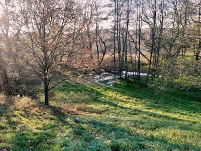 Podzimní snímek mokřadu Krásné Pole. Foto: MMO