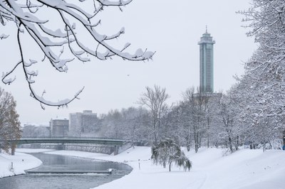 Ilustrační foto. Autor: Adolf Horsinka