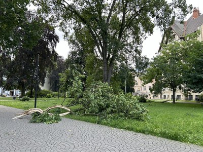 Následky běsnění živlů v centru Ostravy. Foto: MMO