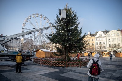 Zdobení loňského vánočního stromu na Masarykově náměstí. Foto: Lukáš Kaboň