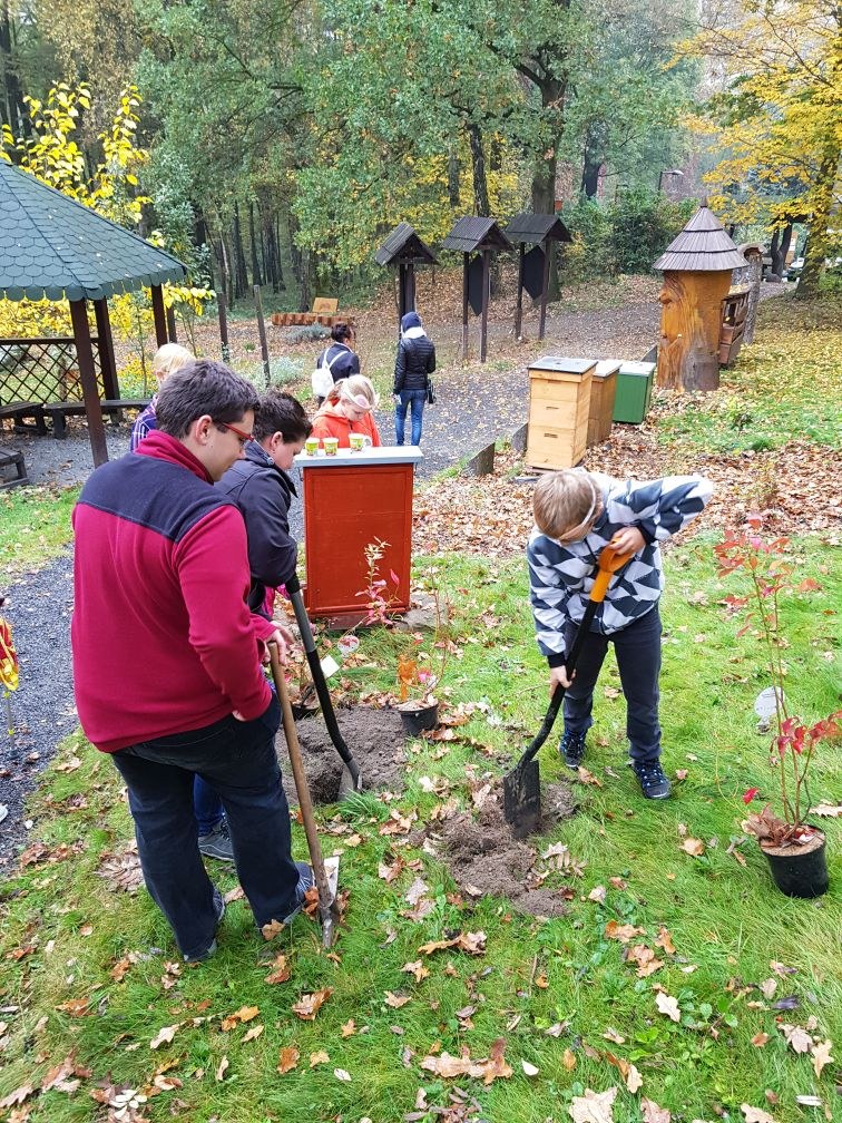 Ostravská zoo překonala loňskou návštěvnost Ostravská zoo překonala loňskou návštěvnost