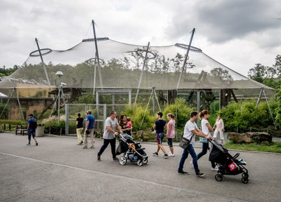 Do ostravské zoologické zahrady přišlo loni přes 537 tisíc návštěvníků. Foto: Lukáš Kaboň