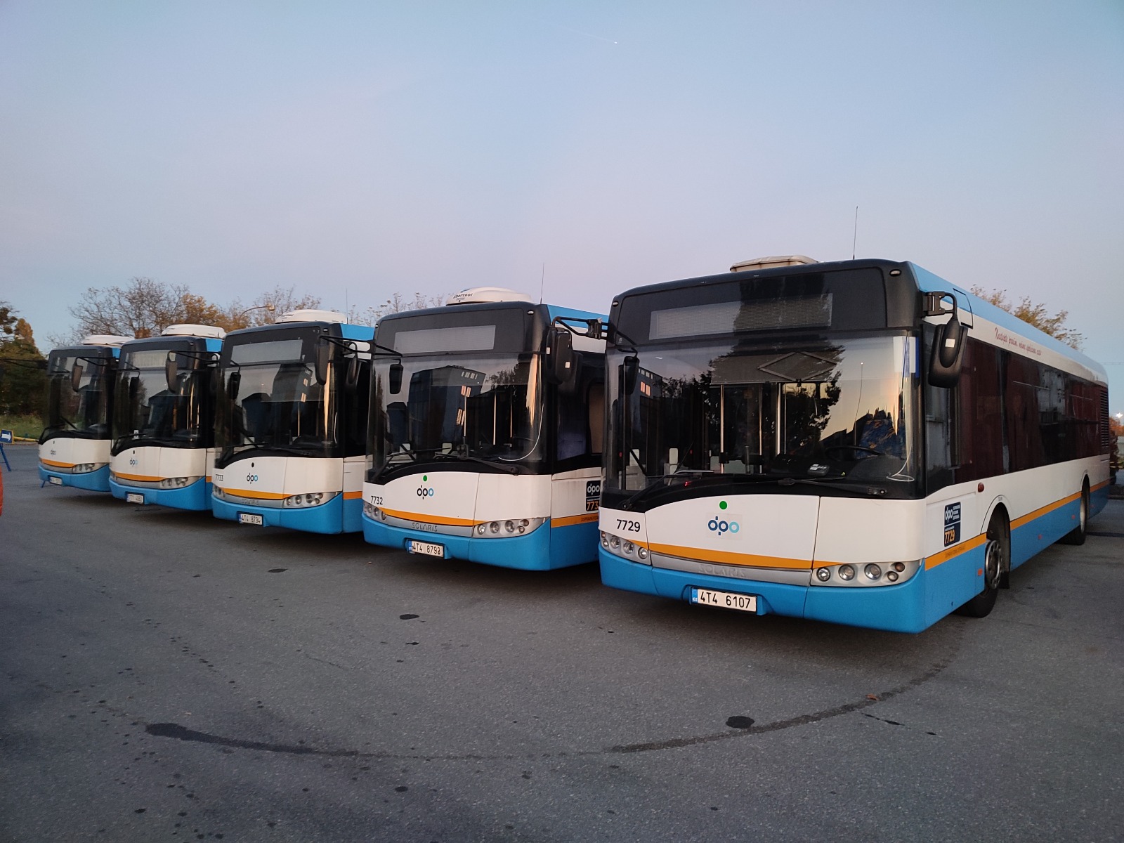 Autobusy Dopravního podniku Ostrava. Foto: DPO
