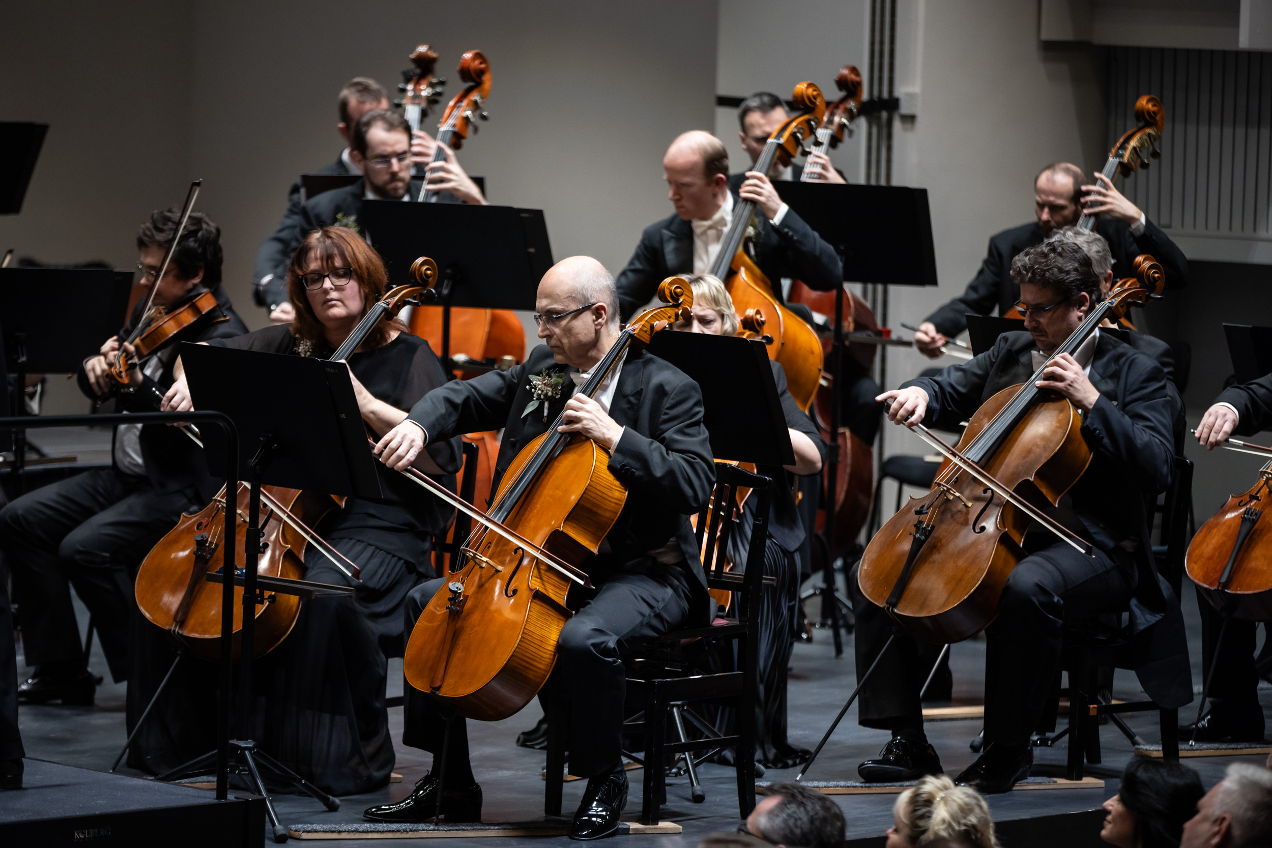 Novoroční koncert ostravských filharmoniků. Foto: Jiří Zerzoň