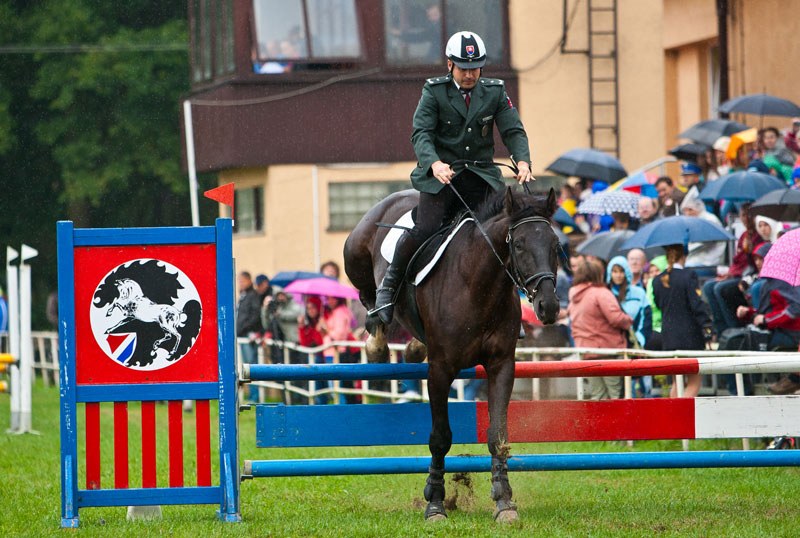 Déšť nevadil soutěžícím ani divákům (Foto JZ)