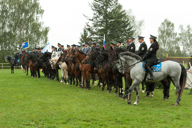 Koně a jezdci při slavnostním nástupu (Foto MPO)