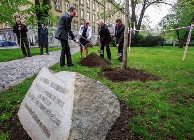 Představitelé města Ostravy a městského obvodu Moravská Ostrava a Přívoz při symbolické výsadbě Stromu svobody. Foto: J. Zerzoň