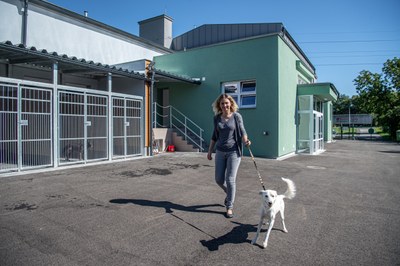 Psí útulek v Třebovicích. Foto: Lukáš Kaboň