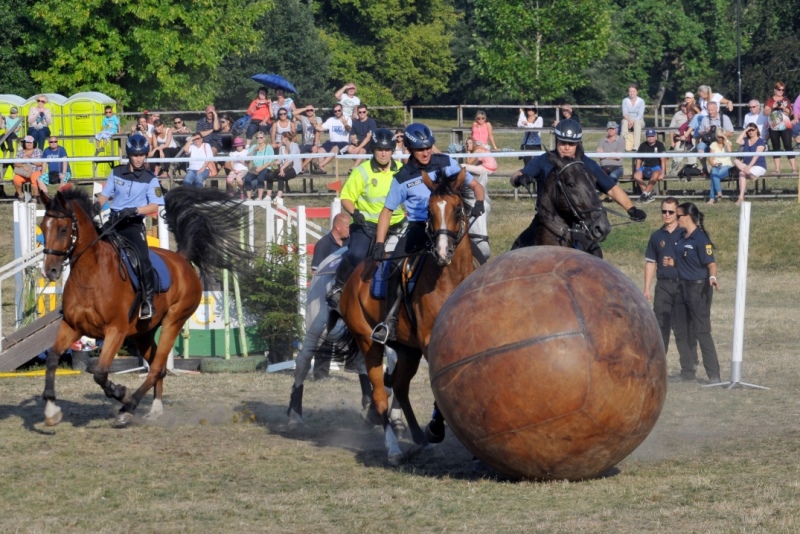 Nadšené reakce publika vyvolal zápas v pushballu, koňském fotbalu.