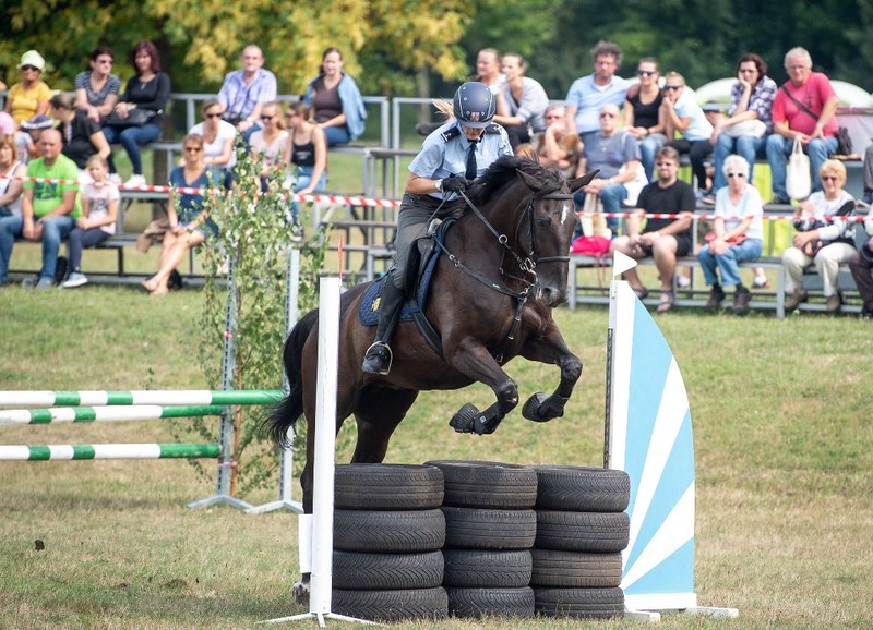 Policejní koně budou soutěžit nad překážkami Policejní koně budou soutěžit nad překážkami