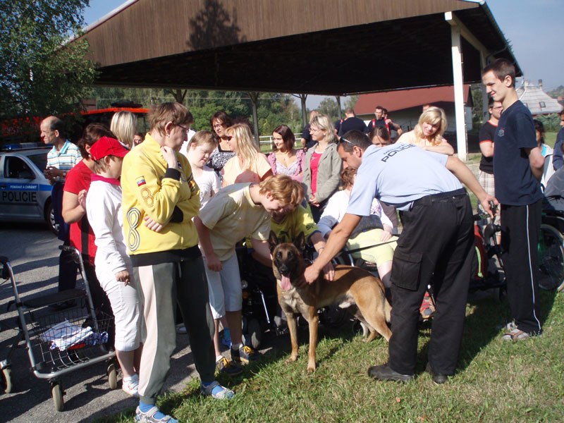 Policie v ostravském Čtyřlístku Policie v ostravském Čtyřlístku