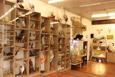 Výukové centrum Zoo Ostrava. Foto: Veronika Máchová