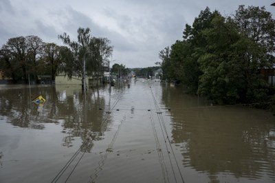 Ilustrační foto, Adolf Horsinka pro MMO.