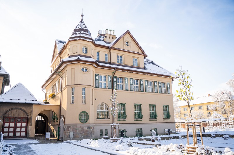 Grossmannova vila v zimním hávu. Foto: Jan Vlček