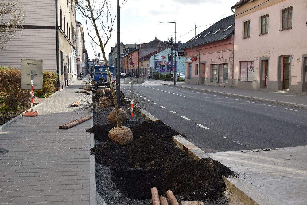 Výsadba zeleně v rekonstruované ulici. Foto: MMO Výsadba zeleně v rekonstruované ulici. Foto: MMO