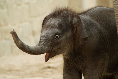 Foto: Už má jméno: Rashmi