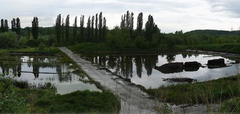 Projekt regenerace brownfieldu Přívoz – Stará ČOV Projekt regenerace brownfieldu Přívoz – Stará ČOV
