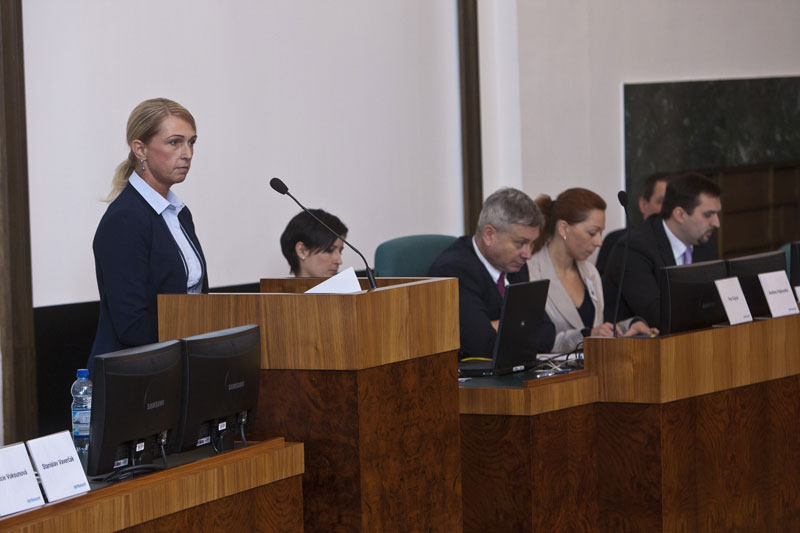 Ředitelka CENTROM Ivana Nesétová hovoří jako partner projektu