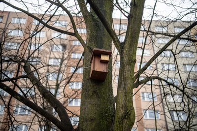 Jedna z ptačích budek na území města Ostravy. Foto: Lukáš Kaboň