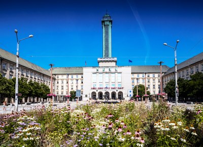 Ilustrační foto: Jiří Zerzoň