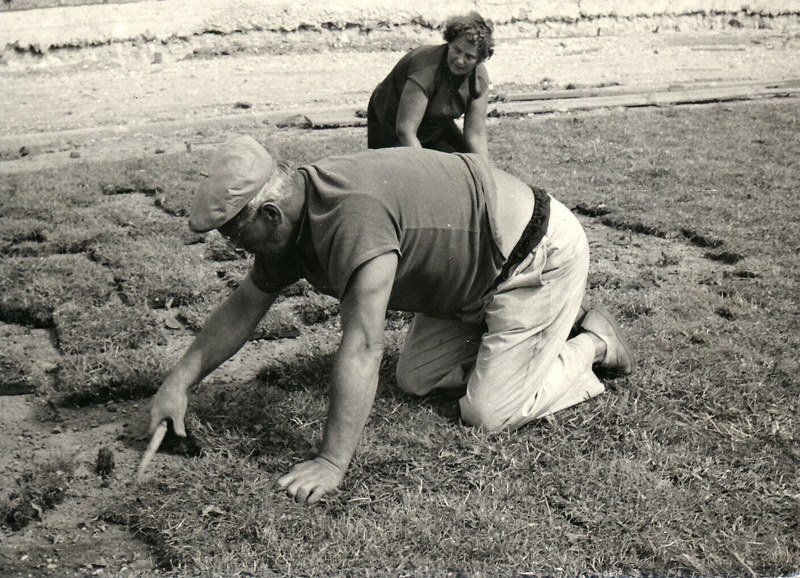 Pro srovnání - takto se pokládal nový travnatý povrch při stavbě stadionu Bazaly na konci 50. let. Foto z pozůstalosti Zdeňka Valoviče