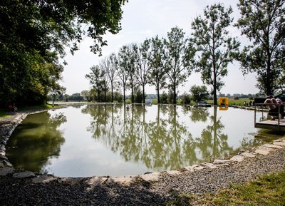 Rybníky pod Bedřiškou v ostravském obvodu Nová Ves. Foto: Adolf Horsinka 