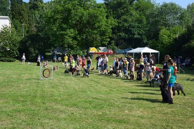 Setkání pěstounů v útulku. Snímky Útulek pro psy Ostrava.