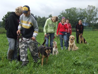 V sobotu ovládnou Třebovice útulkoví pejsci a jejich pěstouni.  Foto: archiv