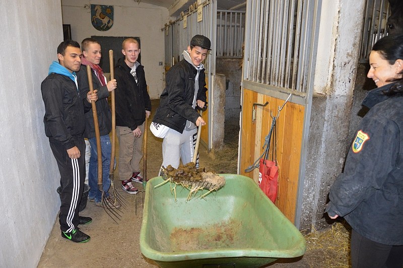 Studenti pomáhali i u jezdeckého oddílu MPO