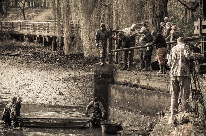 Zoo Ostrava zve na sobotní výlov rybníka Zoo Ostrava zve na sobotní výlov rybníka