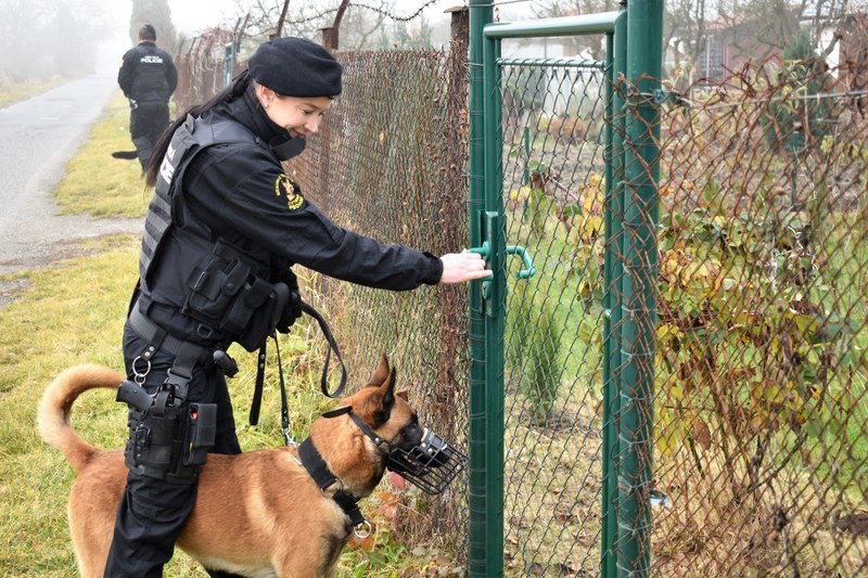 Kontrola v chatařské oblasti. Foto: MPO