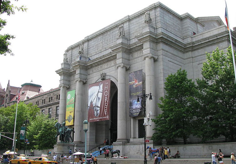 AMNH New York. Foto: wikipedie/captain-tucker
