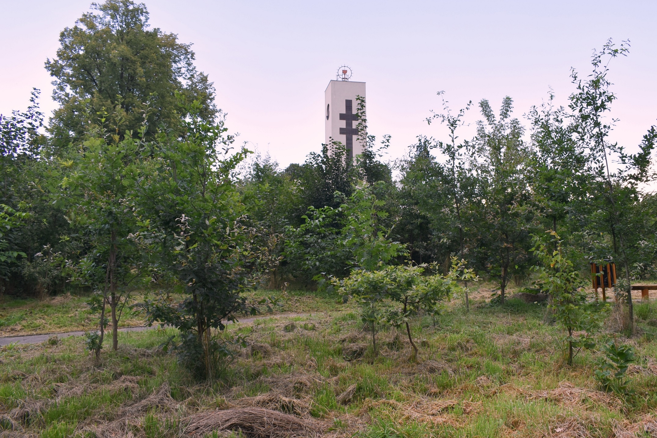Pohled na zelenou plochu ve Svinově v původním stavu. Foto: René Stejskal Pohled na zelenou plochu ve Svinově v původním stavu. Foto: René Stejskal