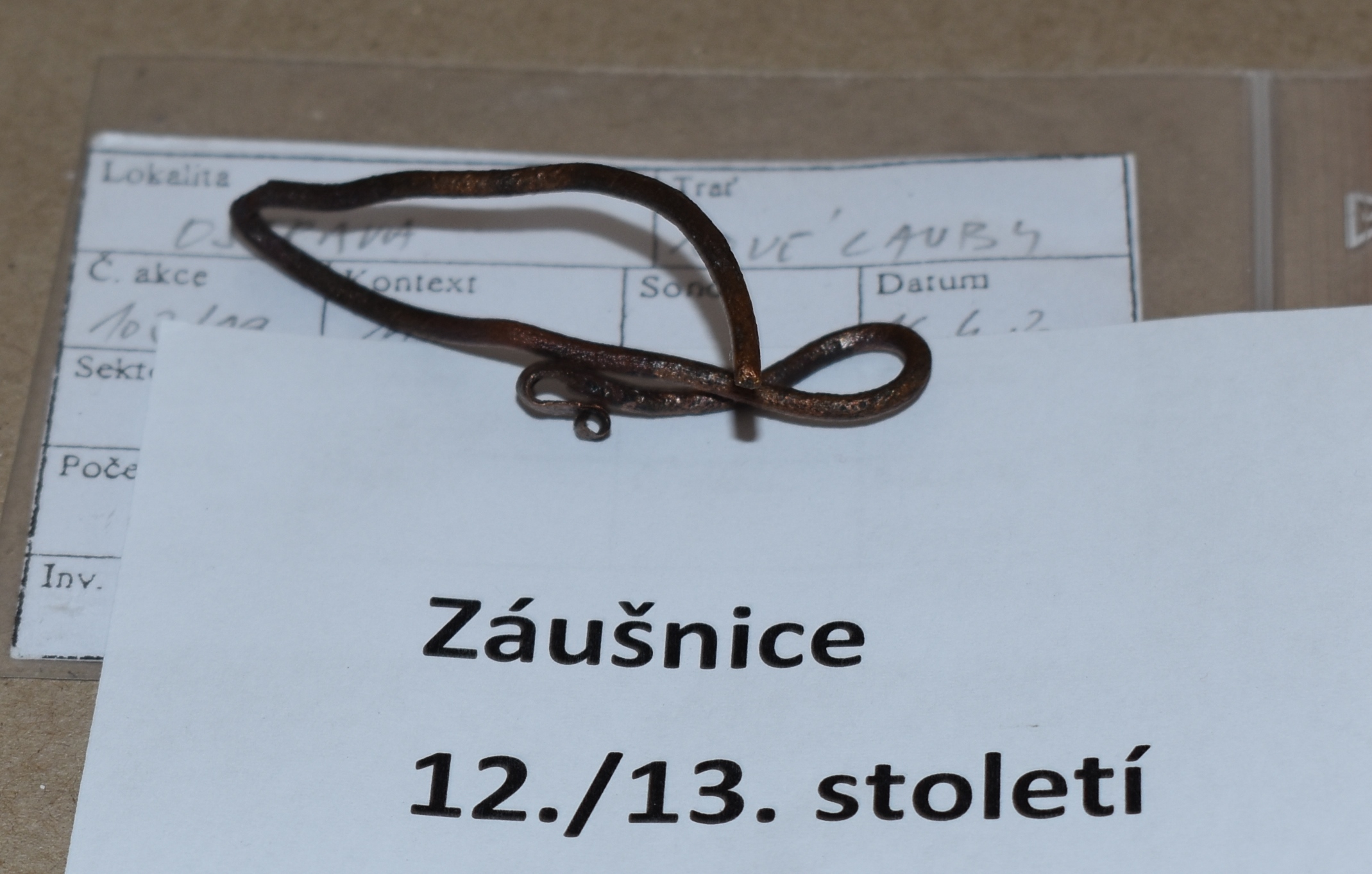 Jedním z nejcennějších nálezů je tzv. záušnice z přelomu 12. a 13. století.