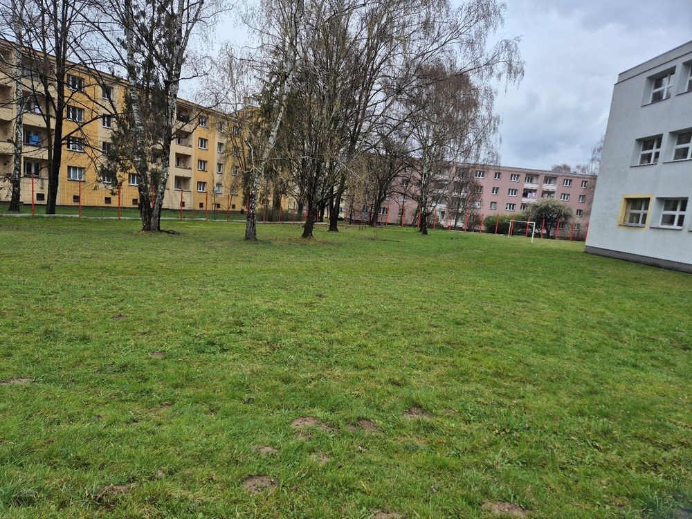 Stav lokality před výstavbou Dorčina kurníku. Foto: MMO Stav lokality před výstavbou Dorčina kurníku. Foto: MMO