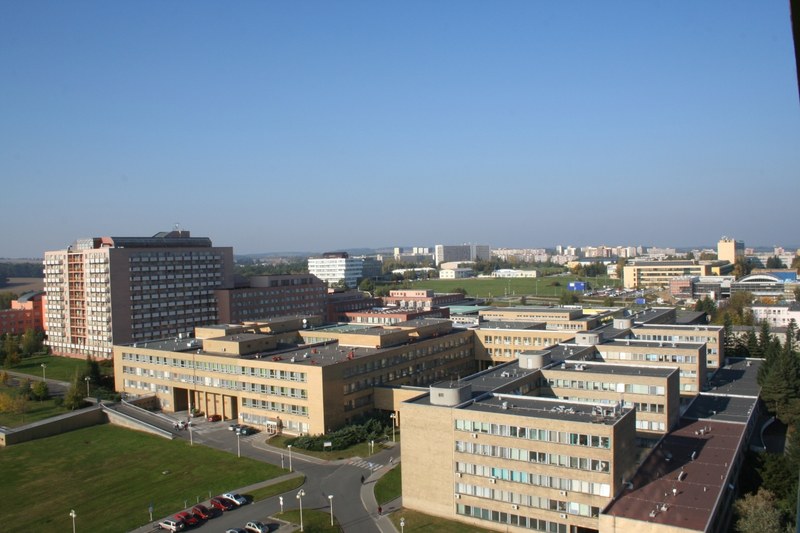 U fakultní nemocnice vznikne památník prosincové tragédie U fakultní nemocnice vznikne památník prosincové tragédie