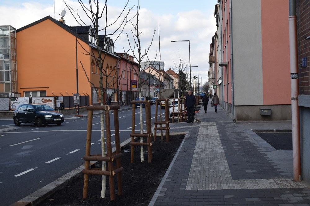 Mnohé ze stromů jsou už vysazeny Mnohé ze stromů jsou už vysazeny