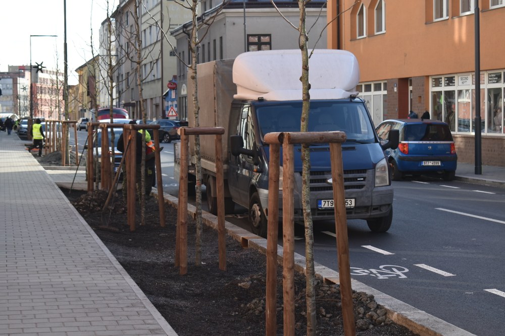 Na další výsadbě se pracuje Na další výsadbě se pracuje