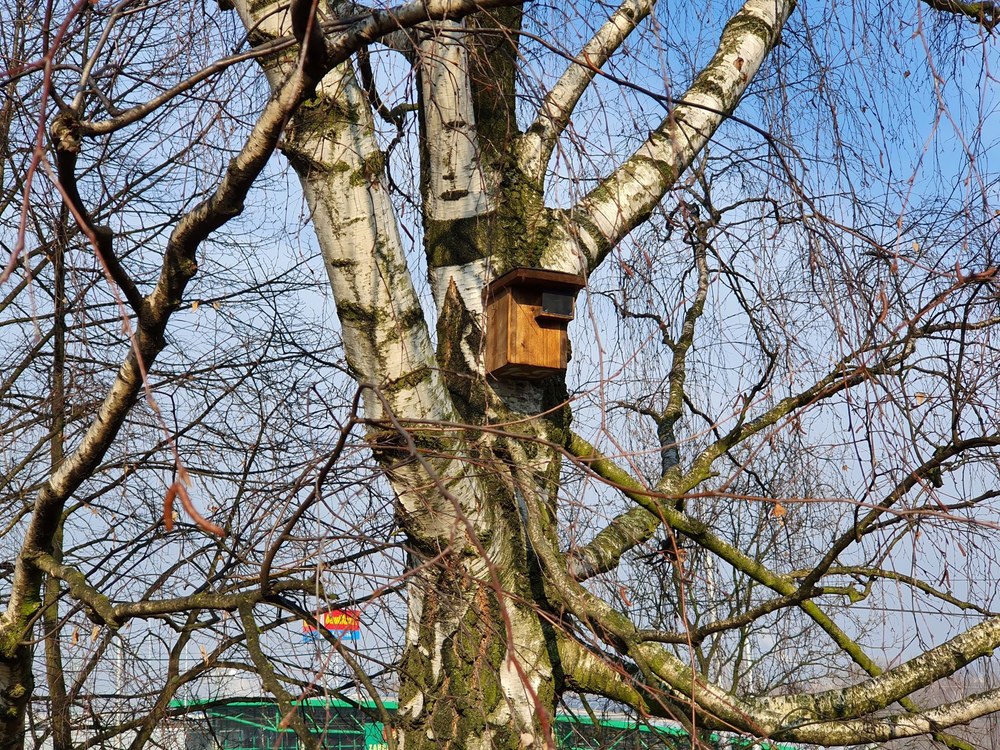 Jedna z nainstalovaných ptačích budek Jedna z nainstalovaných ptačích budek