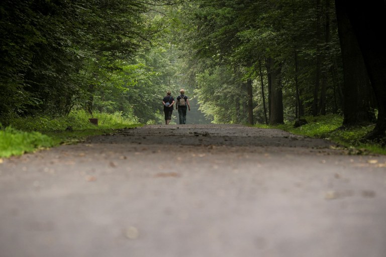 V Bělském lese byla dokončena obnova lesních cest