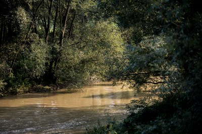 Ilustrační foto MMO.