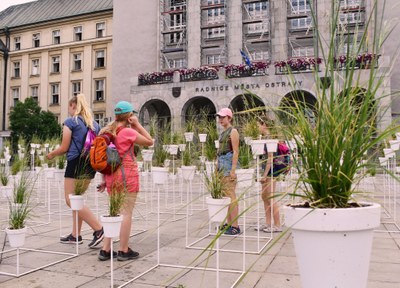Instalace Victoria Natura před Novou radnicí. Foto: René Stejskal
