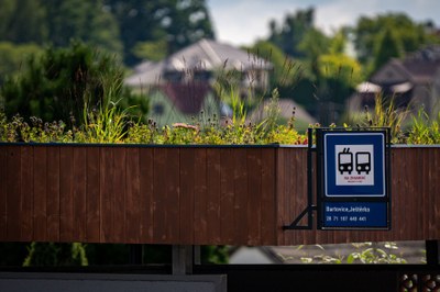 Ozelenění střechy na zastávce MHD. Foto: Lukáš Kaboň