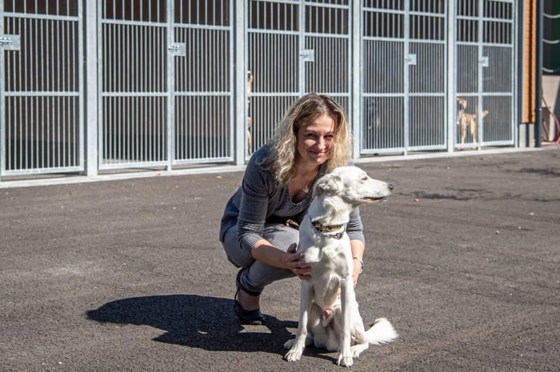 V Ostravě se opět sejdou opatrovníci „útulkáčků“ V Ostravě se opět sejdou opatrovníci „útulkáčků“