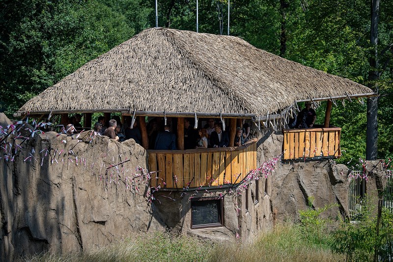 V ostravské ZOO jsou dvě nové stavby s atraktivními výběhy nejen pro makaky a gibony V ostravské ZOO jsou dvě nové stavby s atraktivními výběhy nejen pro makaky a gibony