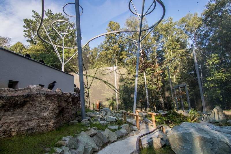 V ostravské ZOO otevřeli největší průchozí voliéru V ostravské ZOO otevřeli největší průchozí voliéru