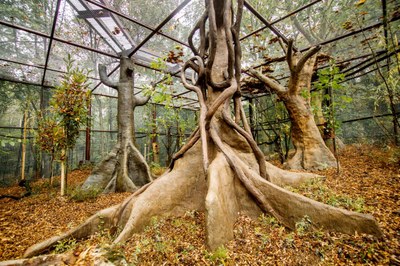 Voliéra Papua. Foto Monika Vlčková.