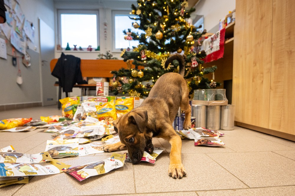 Radost obdarovaných byla nepřehlédnutelná Radost obdarovaných byla nepřehlédnutelná