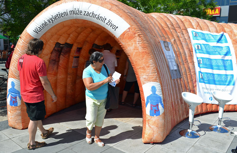 Maketa tlustého střeva.